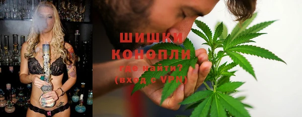 метадон Гусь-Хрустальный