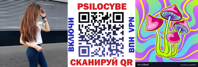 Галлюциногенные грибы Psilocybine cubensis Новоржев